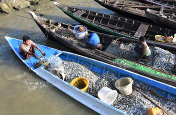 Cleaning the fish. Photo by Mike Akester, WorldFish.