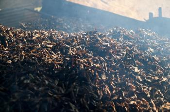 Fish smoking near the Tonle Sap lake in Siem Reap, Cambodia. Photo by Neil Palmer.