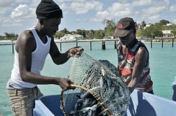 Photo supplied by WorldFish.