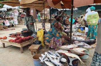Woman selling fish in Nigeria fish market. Photo by Nhuong Tran.