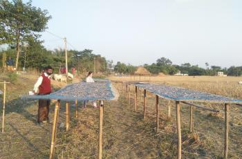 Traditional fish drying method at Assam. Photo by Kalpajit Gogoi.