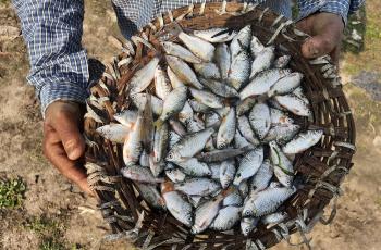 Fisherman with nutrition basket. Photo by Sourabh Dubey.