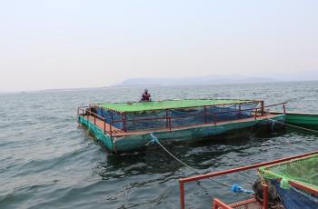 Fish cages on Lake Kariba. Photo by Agness Chileya, WorldFish.