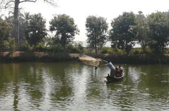 Fish Sampling at Lun Taung village. Phot by Phyo Nandar Aung.