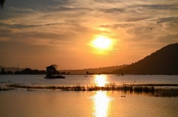 Flooded wetland outside of Pobitora WLS in Assam. Photo by Sourabh Dubey.