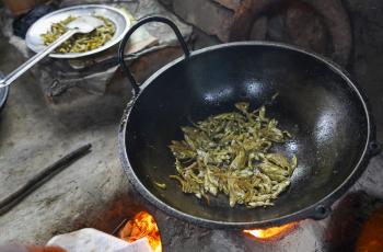 Small indigenous fish species (SIS) that has long been identified as an excellent candidate for aquaculture because of its excellent nutritional value. Photo by WorldFish.