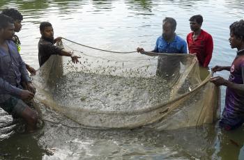 Seed trading. Photo by WorldFish.