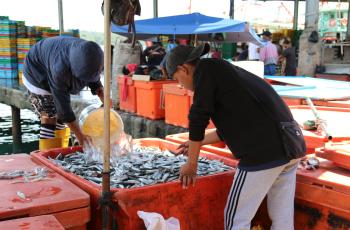 Pasar Besar Kota Kinabalu. Photo by WorldFish.