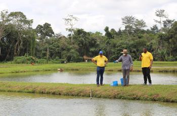 Mission to Côte d'Ivoire. Photo by WorldFish.