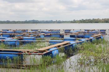 Mission to Côte d'Ivoire. Photo by WorldFish.