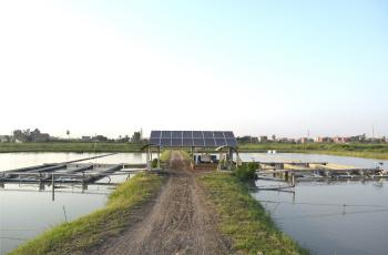 The In-Pond Raceway high and low-cost systems powered by solar energy. Photo by Menna Mosbah, WorldFish.