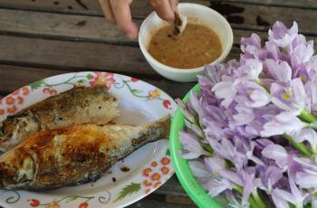 Fish prepared and aquactic collected from ricefield pond at Takeo. Photo by SEAN Vichet, WorldFish.