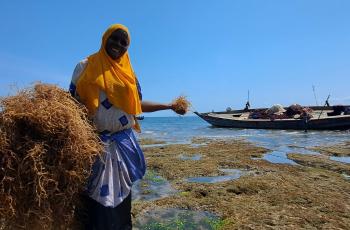 AABS WP2 IMTA Health consultation in Kenya, Mombasa coast region. Photo by Jerome Delamare-Deboutteville, WorldFish.