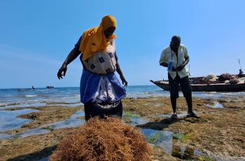 AABS WP2 IMTA Health consultation in Kenya, Mombasa coast region. Photo by Jerome Delamare-Deboutteville, WorldFish.