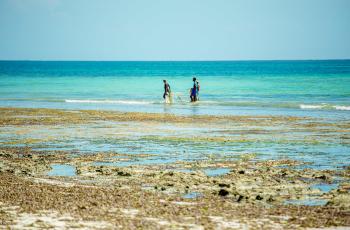 South-South collaboration in fisheries management. Photo by WorldFish.