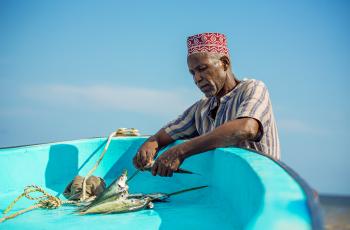 Photos of fishers, fish processors, and fish sellers captured from Jimbo beach in Kwale County, Southern Coast of Kenya. Photo by WorldFish.