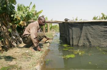 Scaling up innovations and partnerships to modernize African food systems