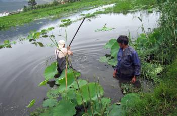 Aquaculture, China. Photo by He Qing Yunnan Officer, WorldFish.