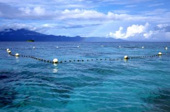 Giant clam exclosure, Solomon Islands. Photo by Mike McCoy, 2001.