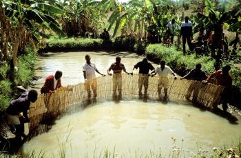 Aquaculture, Malawi. Photo by Randall Brummett.