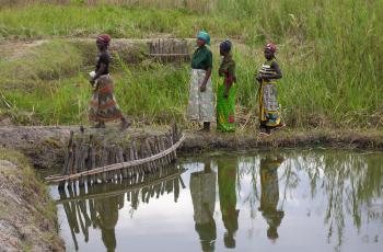 Tiguirizane women at fish pond in Tiguirizane Association, Tsuende village, Moatize District, Tete Province, Mozambique. Photo by Peter Fredenburg.