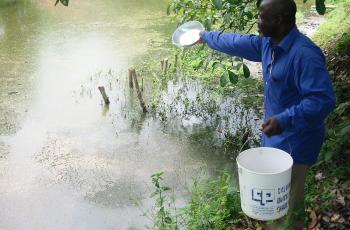 Aquaculture, Cameroon. Photo by Randall Brummett.