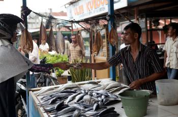 A roadside fish stall. Aceh, Indonesia. Photo by Mike Lusmore, WorldFish.