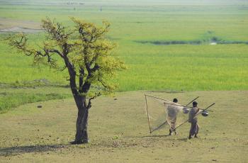 Going fishing in the rice farm, Sunamganj, Bangladesh. Photo by Khaled Sattar.