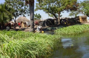 Nyimba fishing camp in Kafue Flats, Zambia. Photo by Alphart Lungu, WorldFish.