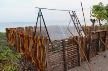 Fish drying in Atauro, Timor-Leste. Photo by Holly Holmes, WorldFish.