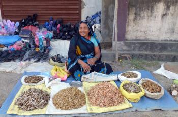 A women selling dried small fish in Bhairahawa, Nepal. Photo by Jharendu Pant, WorldFish.
