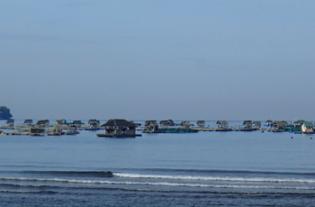 Launch of the Second World Ocean Assessment (WOA II)