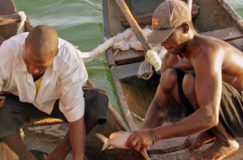 Aquaculture Africa Magazine Focus: Kenya Marine and Fisheries Research Institute (KMFRI)