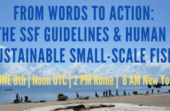 Small is Bountiful 24-Hour Event: Using the SSF Guidelines and Human Rights for Sustainable Small-Scale Fisheries Small is Bountiful 24-Hour Event: Using the SSF Guidelines and Human Rights for Sustainable Small-Scale Fisheries