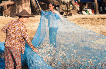 Virtual Policy Seminar: Assessing the impact of COVID-19 on Myanmar’s Livestock and Fishery Sectors Virtual Policy Seminar: Assessing the impact of COVID-19 on Myanmar’s Livestock and Fishery Sectors