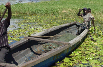Virtual Panel: Situational Analysis of Fish and Fisheries of the Kafue Flats Wetland Ecosystem Virtual Panel: Situational Analysis of Fish and Fisheries of the Kafue Flats Wetland Ecosystem