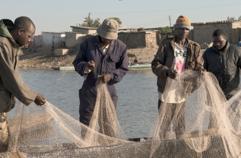 Fish(ing) for Future: Sustainable fish for food security and nutrition in Africa