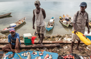 Online Workshop: Global Action Network Sustainable Food from the Oceans and Inland Waters for Food Security and Nutrition Online Workshop: Global Action Network Sustainable Food from the Oceans and Inland Waters for Food Security and Nutrition