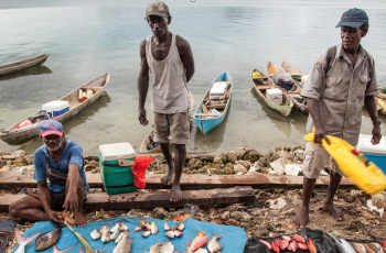 Online Workshop: Global Action Network Sustainable Food from the Oceans and Inland Waters for Food Security and Nutrition