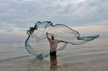 2DI Blue Challenge: Global Stakeholder Consultation