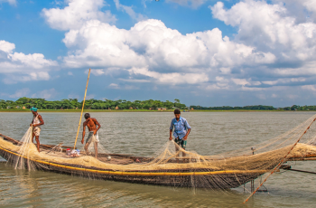 World Rivers Day