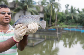 CGIAR Event: The future of research for development: Building resilient food, land and water systems