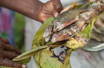 CGIAR researchers join the Chef's Manifesto Resilience Sessions 