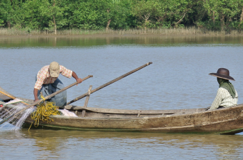 World Fish Migration Day: Panel Discussion on Protecting Fish Migration for People and Nature