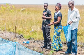 Fish in Africa Food Systems - Think Tank