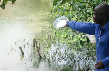 The Future of Aquaculture in Africa! The Future of Aquaculture in Africa!