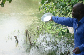 The Future of Aquaculture in Africa!