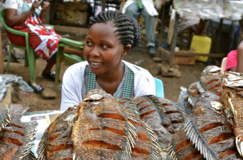 International Seminar on Food and Nutrition Security in Africa