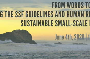 Small is Bountiful: From Words to Action: Using the SSF Guidelines and Human Rights for Sustainable Small-Scale Fisheries