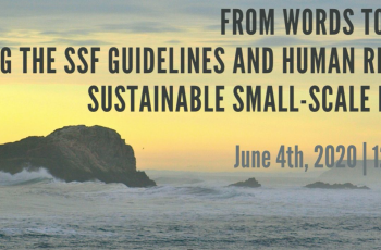 Small is Bountiful: From Words to Action: Using the SSF Guidelines and Human Rights for Sustainable Small-Scale Fisheries Small is Bountiful: From Words to Action: Using the SSF Guidelines and Human Rights for Sustainable Small-Scale Fisheries